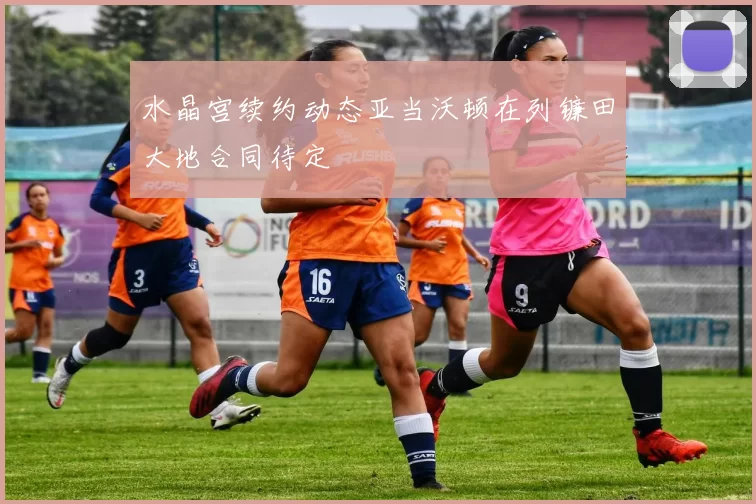水晶宫续约动态亚当沃顿在列镰田大地合同待定