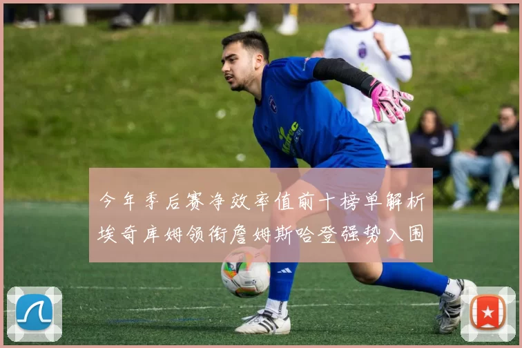 今年季后赛净效率值前十榜单解析埃奇库姆领衔詹姆斯哈登强势入围