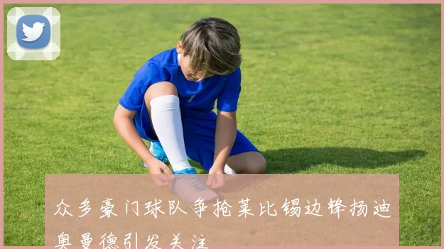 众多豪门球队争抢莱比锡边锋扬迪奥曼德引发关注